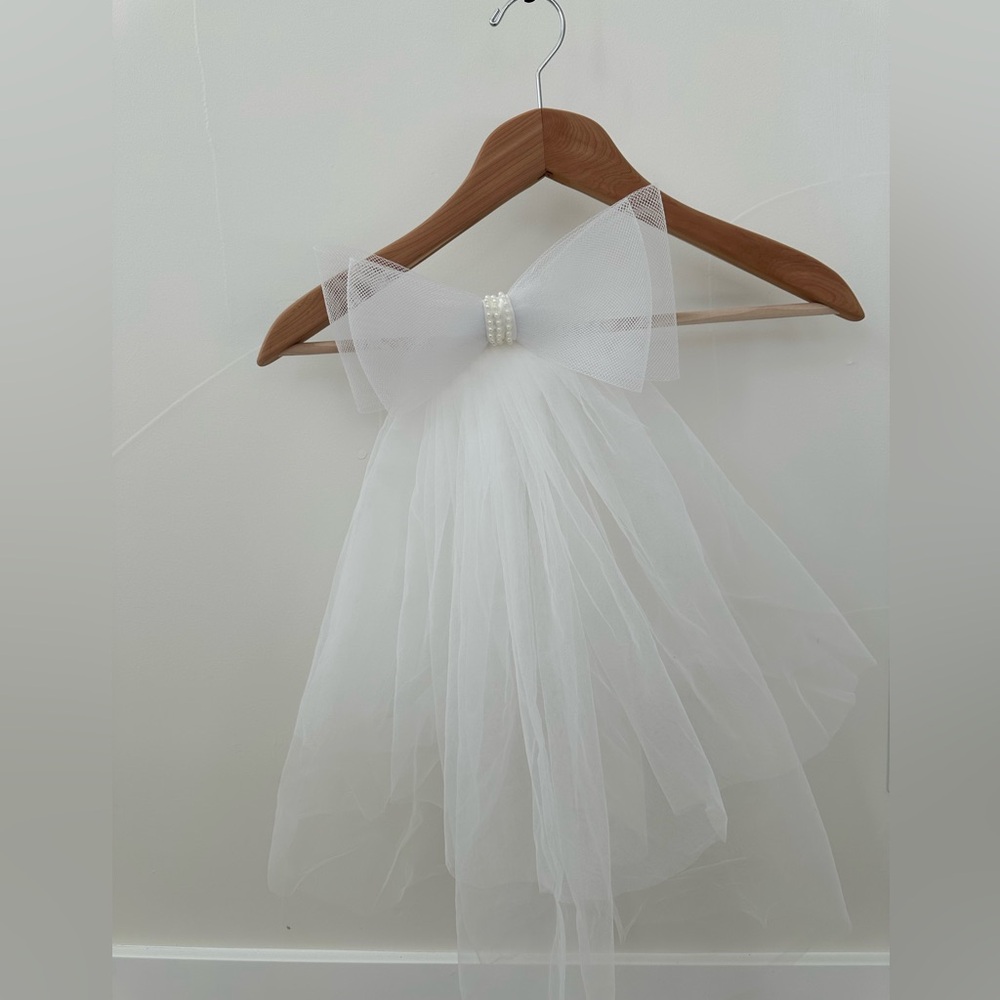 Bridal/ bachelorette party bow veil